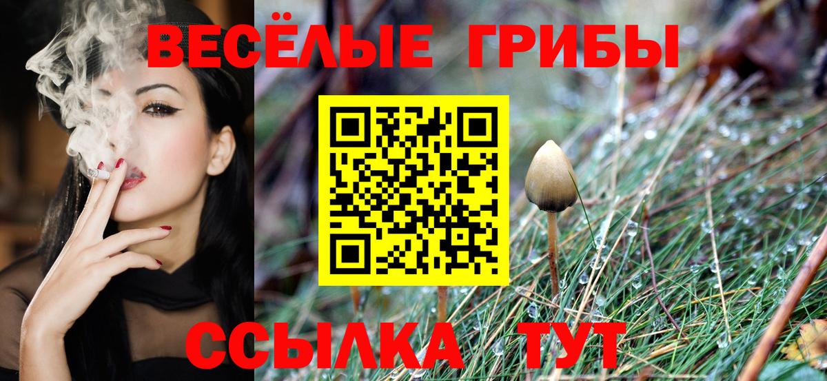 Альфа ПВП СК кристаллы  Вход с VPN  Зеленодольск  Гашиш  Вейп ТГК  МАРИХУАНА  Меф МЯУ МЯУ кристаллы 