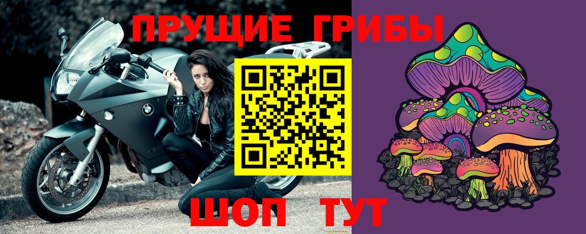 Зеленодольск  Псилоцибиновые грибы прущие грибы  Вход с VPN 